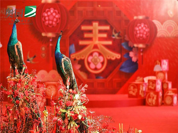 如何搞定高端的年会活动？以下这六点可以帮你！