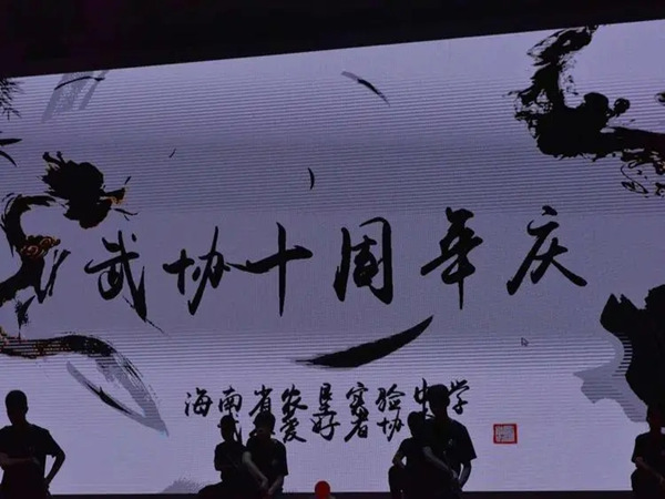 武术周年庆活动方案策划，武术传承！