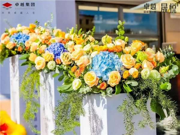 深圳开业庆典，点亮梦想的盛宴